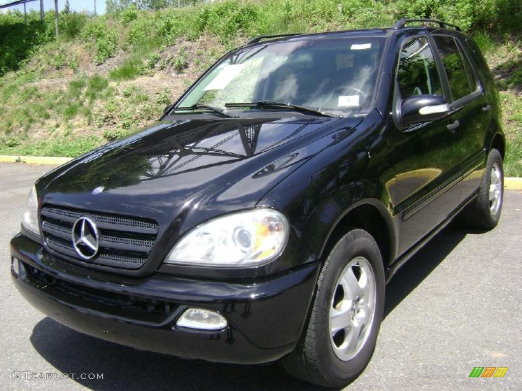 2003 ML 350 4Matic - Black / Charcoal photo #2
