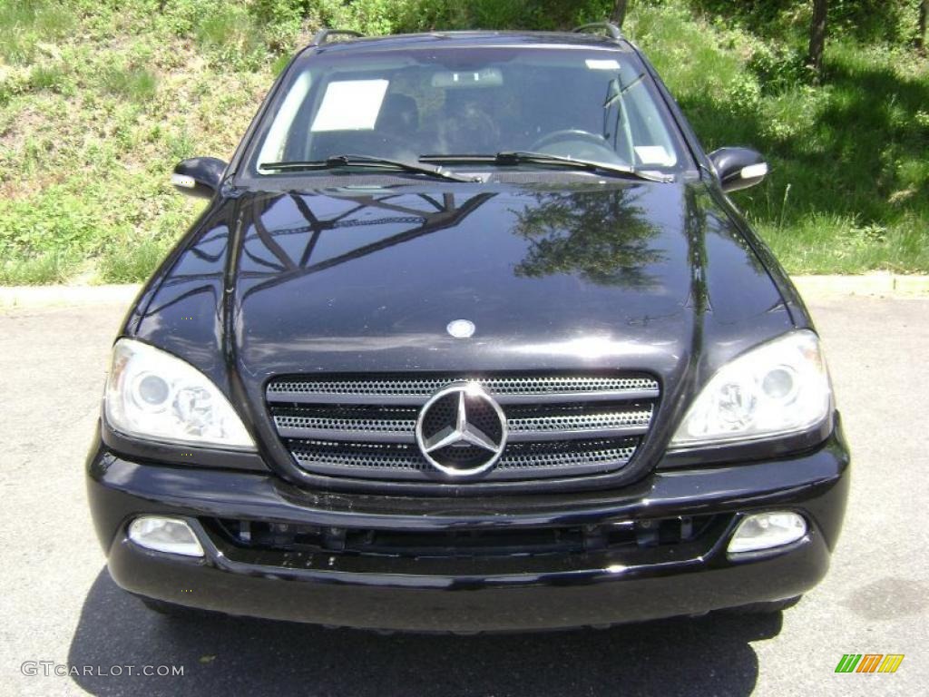 2003 ML 350 4Matic - Black / Charcoal photo #3