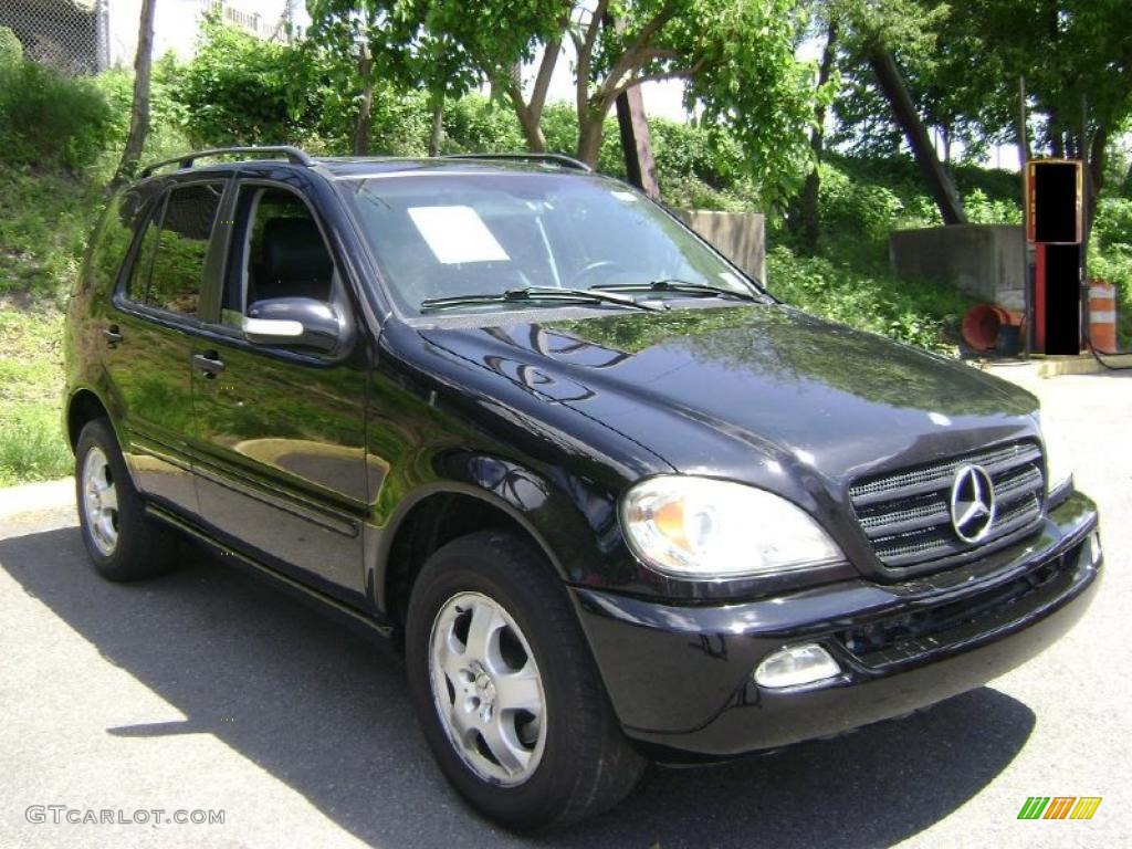 2003 ML 350 4Matic - Black / Charcoal photo #4