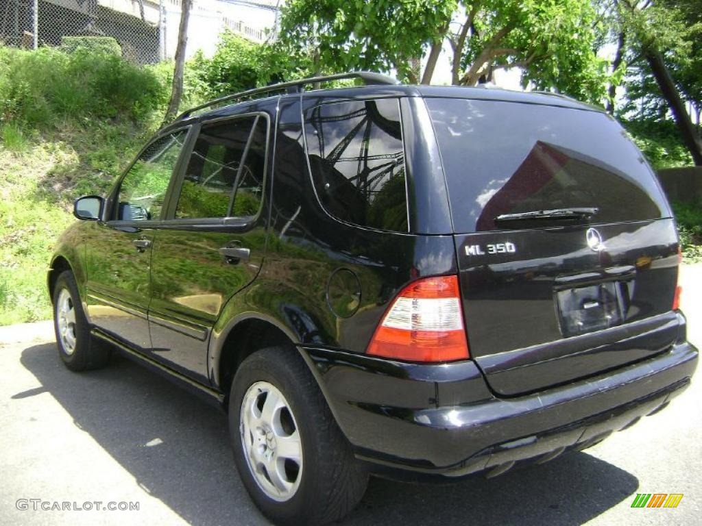 2003 ML 350 4Matic - Black / Charcoal photo #8