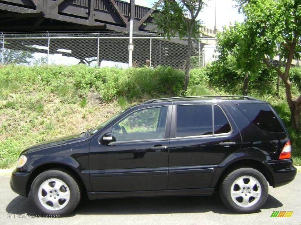 2003 ML 350 4Matic - Black / Charcoal photo #10