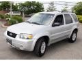 Silver Metallic - Escape Hybrid 4WD Photo No. 1
