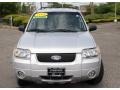 Silver Metallic - Escape Hybrid 4WD Photo No. 2