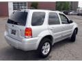 Silver Metallic - Escape Hybrid 4WD Photo No. 6