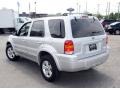 Silver Metallic - Escape Hybrid 4WD Photo No. 10
