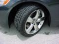 Smoky Granite Mica - GS 350 Photo No. 23