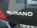 2006 Midnight Blue Pearl Nissan Murano SE AWD  photo #13