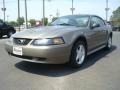 2002 Mineral Grey Metallic Ford Mustang V6 Coupe  photo #1