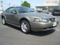 2002 Mineral Grey Metallic Ford Mustang V6 Coupe  photo #8