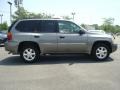 Sand Beige Metallic - Envoy SLE Photo No. 6