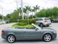 Dolphin Gray Metallic - A4 2.0T Cabriolet Photo No. 7