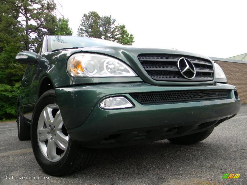 2003 Everest Green Metallic MercedesBenz ML 320 4Matic 30036495 Photo