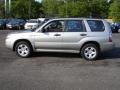 2007 Crystal Gray Metallic Subaru Forester 2.5 X  photo #9