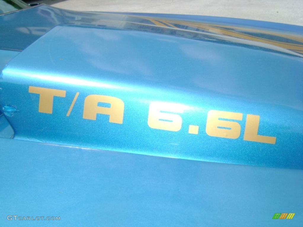 1978 Pontiac Firebird Trans Am Coupe Marks and Logos Photo #30135388