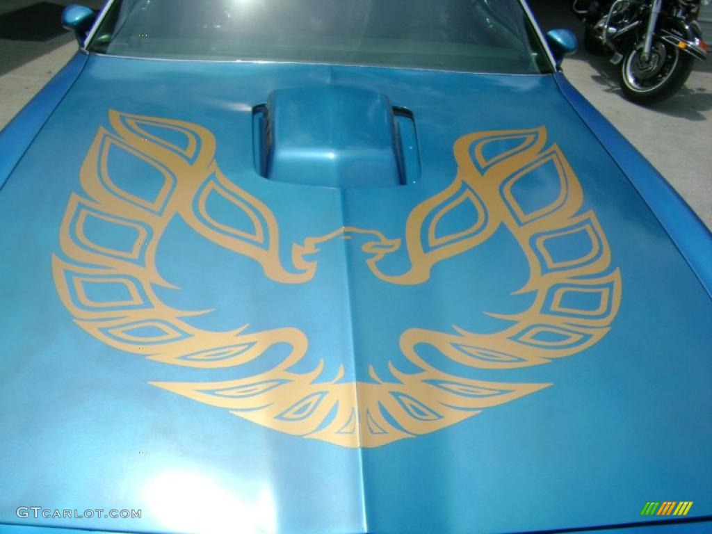 1978 Pontiac Firebird Trans Am Coupe Marks and Logos Photo #30135400