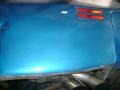 Glacier Blue Metallic - Firebird Trans Am Coupe Photo No. 52