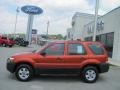 Blazing Copper Metallic - Escape XLS 4WD Photo No. 2