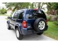 2004 Patriot Blue Pearl Jeep Liberty Limited  photo #7