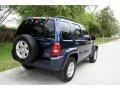 2004 Patriot Blue Pearl Jeep Liberty Limited  photo #10