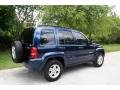 2004 Patriot Blue Pearl Jeep Liberty Limited  photo #11