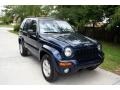 2004 Patriot Blue Pearl Jeep Liberty Limited  photo #15