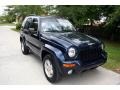 2004 Patriot Blue Pearl Jeep Liberty Limited  photo #17