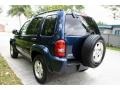 2004 Patriot Blue Pearl Jeep Liberty Limited  photo #19