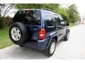 2004 Patriot Blue Pearl Jeep Liberty Limited  photo #20