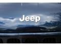 2004 Patriot Blue Pearl Jeep Liberty Limited  photo #25