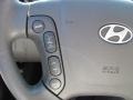Bright Silver - Santa Fe GLS 4WD Photo No. 20
