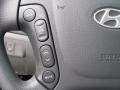 2009 Steel Gray Hyundai Santa Fe GLS  photo #18