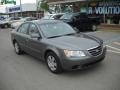 2009 Willow Gray Hyundai Sonata GLS  photo #1