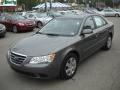 Willow Gray - Sonata GLS Photo No. 14