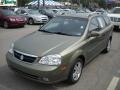 Desert Green Metallic - Forenza Wagon Photo No. 14