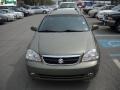 2006 Desert Green Metallic Suzuki Forenza Wagon  photo #15