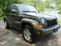 2006 Deep Beryl Green Pearl Jeep Liberty Sport 4x4  photo #5