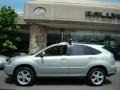 2008 Bamboo Pearl Lexus RX 400h AWD Hybrid  photo #3