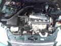 Clover Green Pearl - Civic LX Sedan Photo No. 19