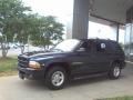 Patriot Blue Pearl - Durango Sport Photo No. 18