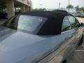 Steel Silver Metallic - Sebring LX Convertible Photo No. 30