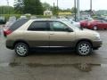 2005 Cashmere Beige Metallic Buick Rendezvous CXL AWD  photo #5