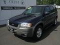 True Blue Metallic - Escape XLT V6 4WD Photo No. 1