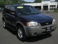 True Blue Metallic - Escape XLT V6 4WD Photo No. 3