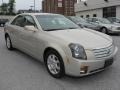 Gold Mist - CTS Sedan Photo No. 4