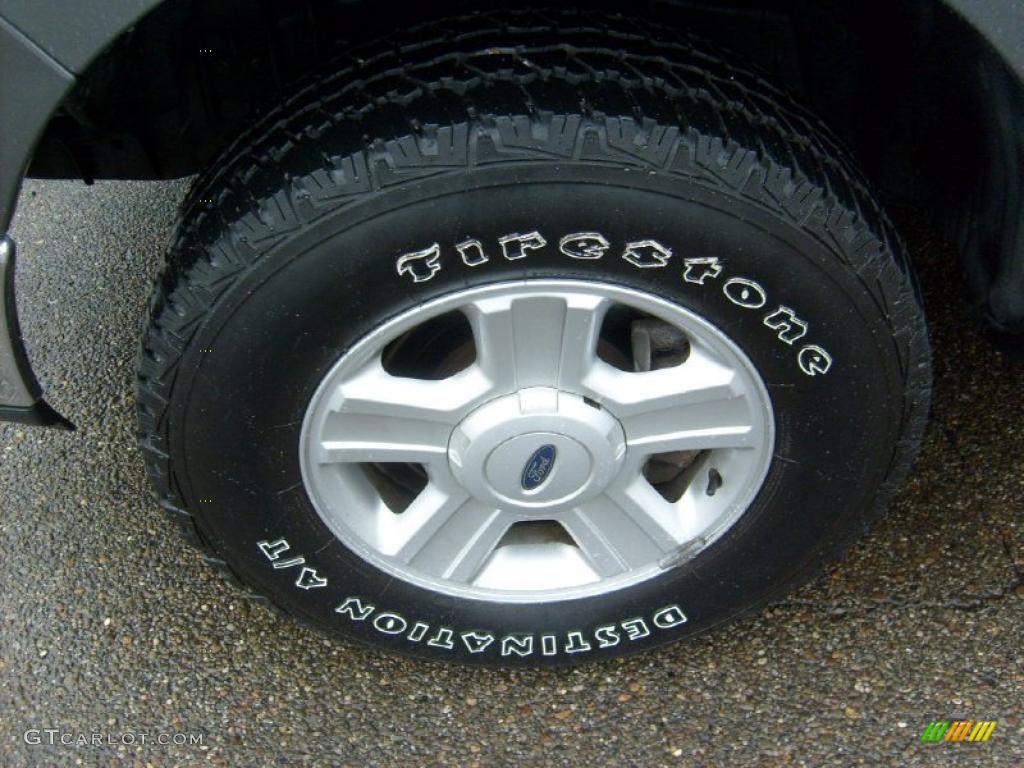 2004 F150 XLT SuperCab 4x4 - Dark Shadow Grey Metallic / Dark Flint photo #9
