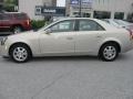 Gold Mist - CTS Sedan Photo No. 9