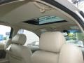 Gold Mist - CTS Sedan Photo No. 27