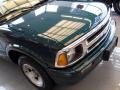 1997 Fairway Green Metallic Chevrolet S10 LS Regular Cab  photo #9