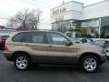 Kalahari Beige Metallic - X5 3.0i Photo No. 1