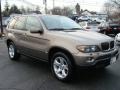 Kalahari Beige Metallic - X5 3.0i Photo No. 2